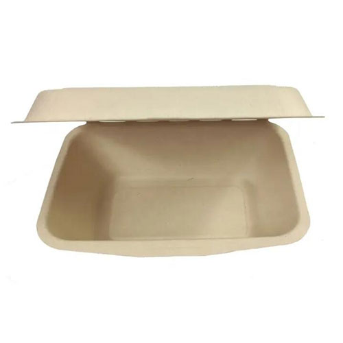 600ml 7 x 5-inch biodegradable takeaway lunch box