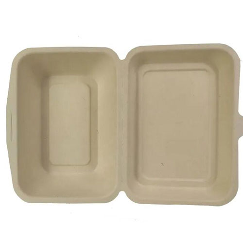 600ml 7 x 5-inch biodegradable takeaway lunch box